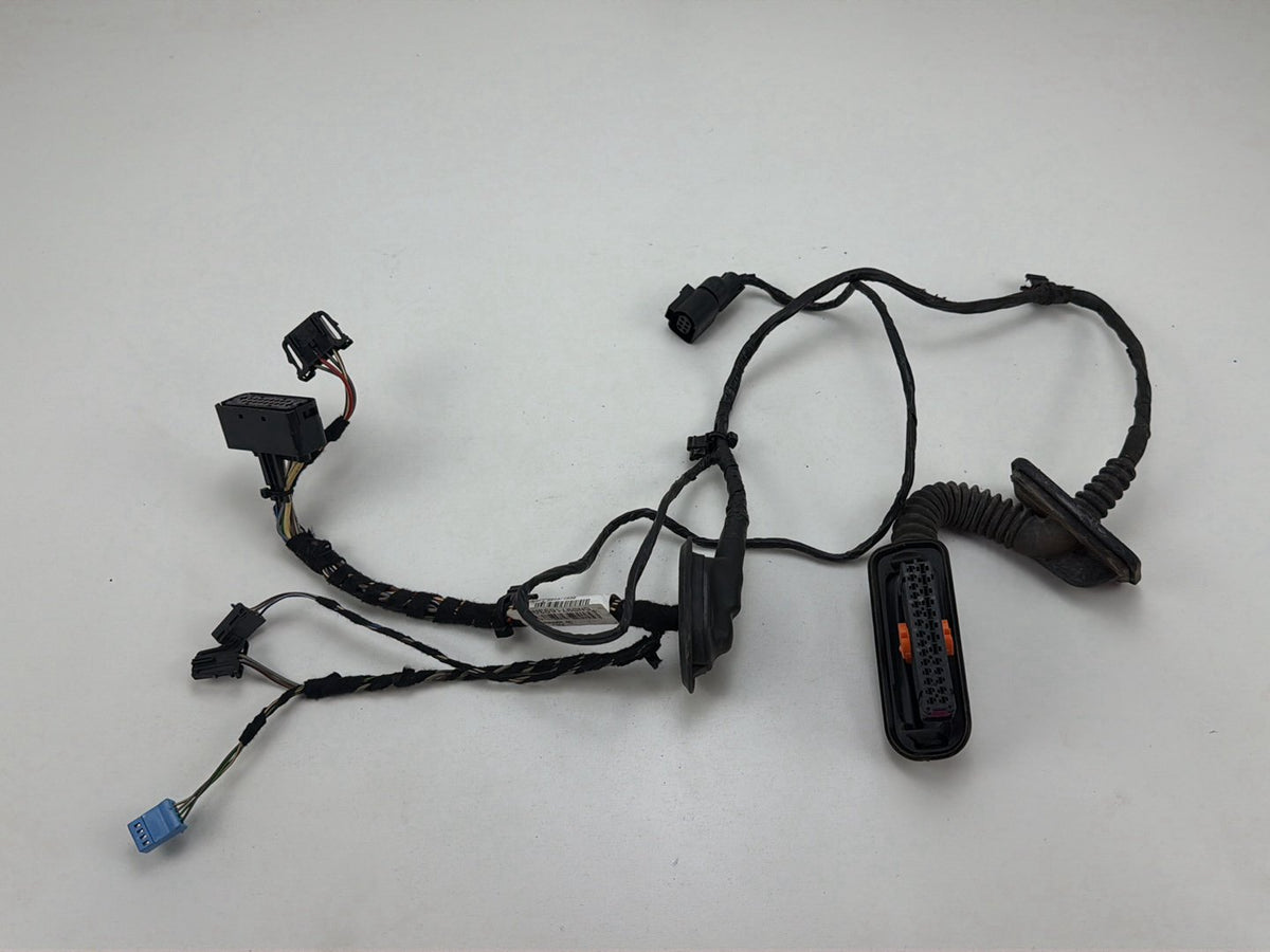 2013-2017 Volkswagen Tiguan Rear Left Side Door Harness Wire Wiring OEM