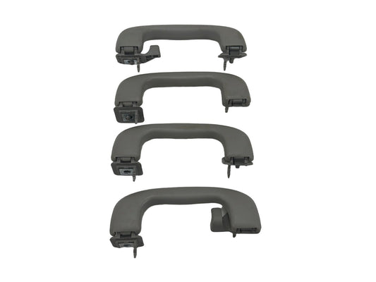2012-2020 Chevrolet Sonic Roof Rail Assist Grab Handles Set OEM