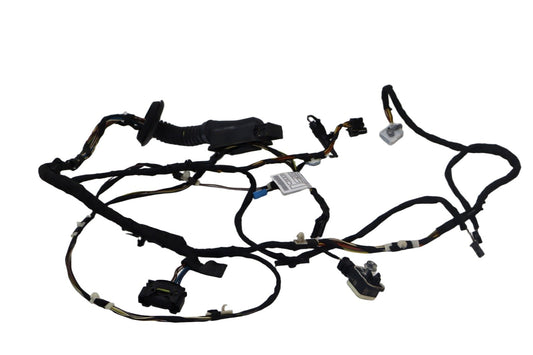 2013-2018 BMW 320I xdrive Front Left Side Door Wiring Harness 9313601 OEM