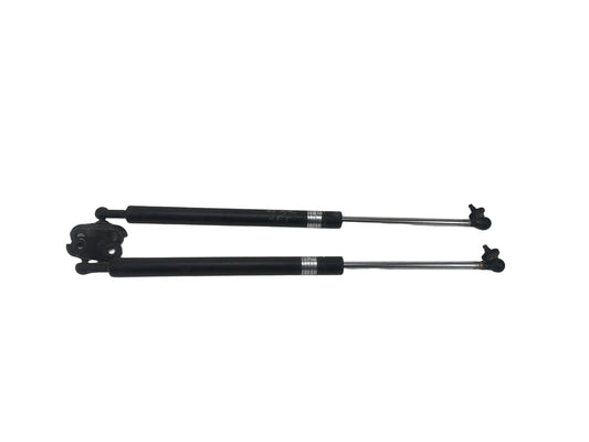2003-2009 Toyota 4Runner Front Hood Shock Strut Lift Support Pair OEM