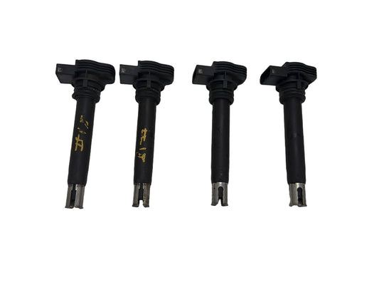 2013-2017 Volkswagen Tiguan Engine Ignition Coil Set OEM