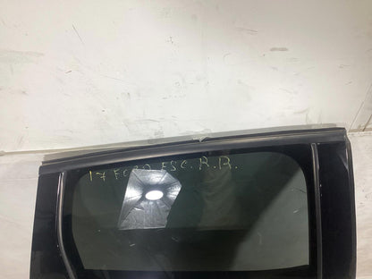 2013 - 2019 FORD ESCAPE REAR RIGHT PASSENGER SIDE COMLETE DOOR W/ DOOR PANEL OEM