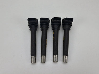 2013-2017 Volkswagen Tiguan Engine Ignition Coil Set OEM