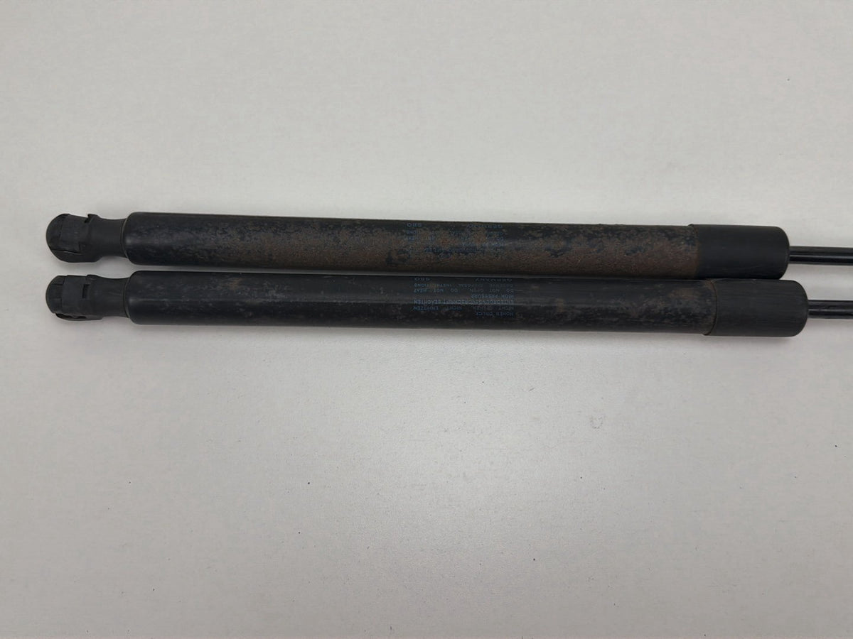 2013-2017 Volkswagen Tiguan Trunk Lid Gas Struts OEM