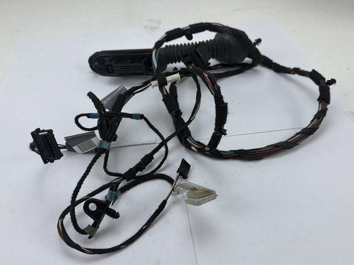 2007-2008 BMW 328xi Rear Left Driver Side Door Wire Harness OEM