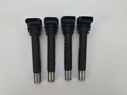 2013-2017 Volkswagen Tiguan Engine Ignition Coil Set OEM