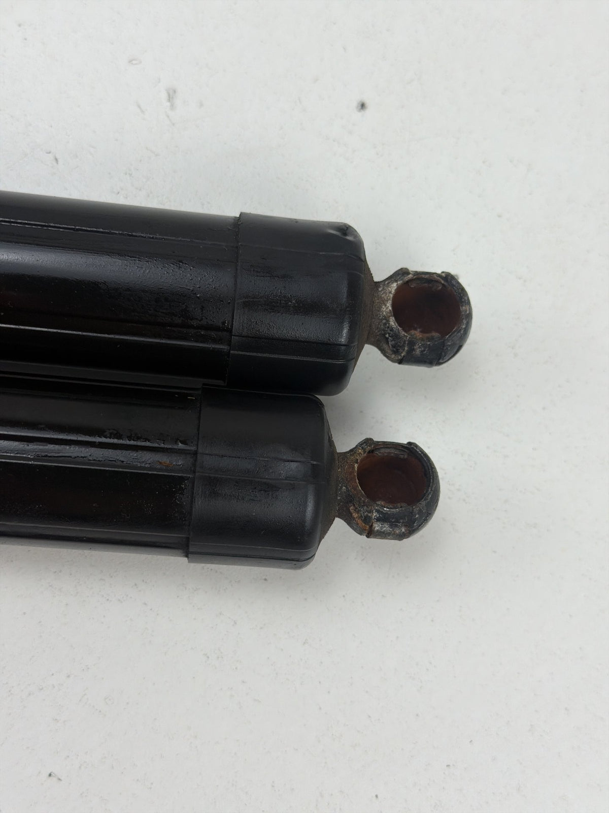 2013-2018 Ford C-Max - Tailgate Lift Support Struts OEM
