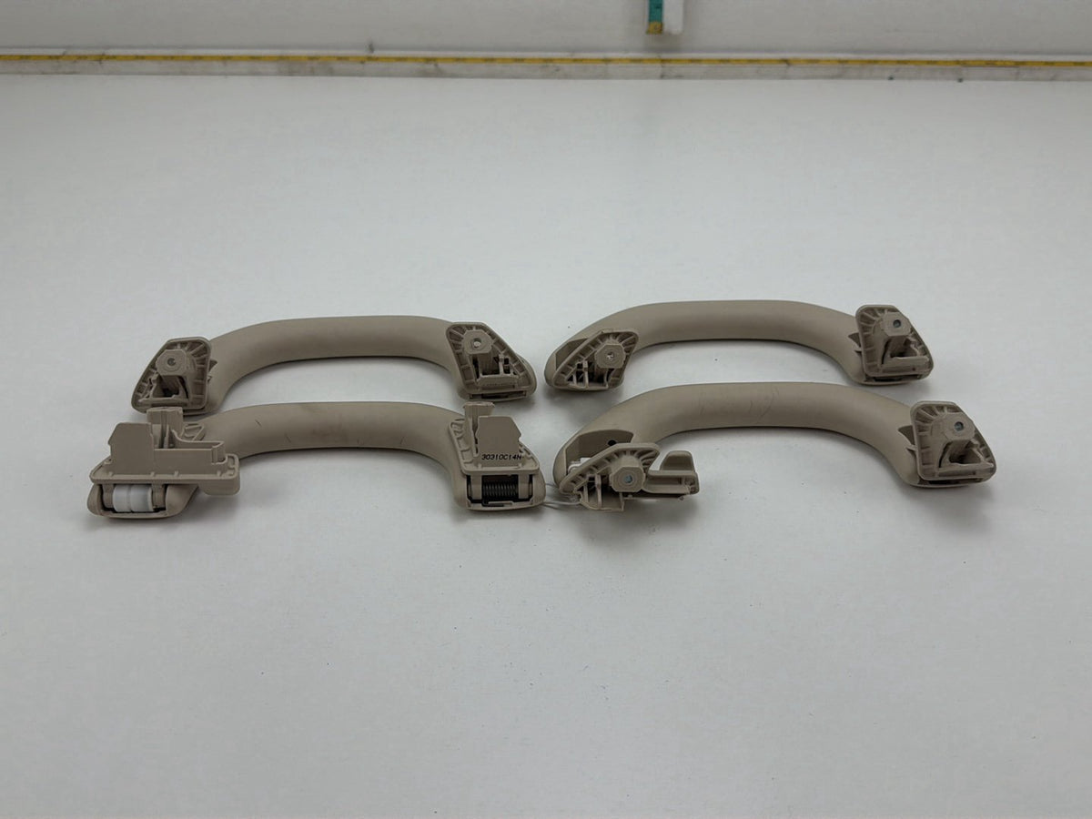2013-2017 Volkswagen Tiguan Interior Roof Pull Grab Handle Set 1K0857607N OEM