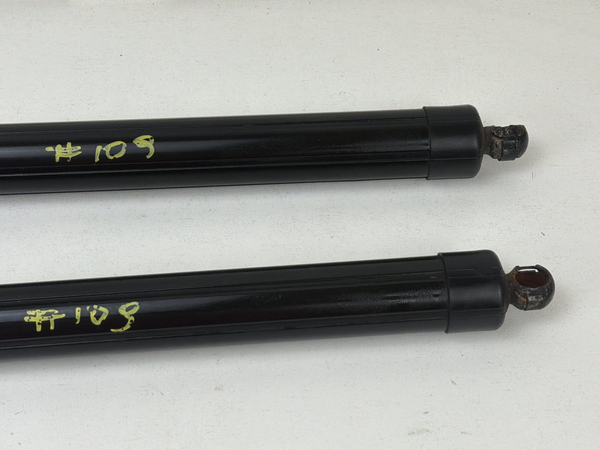2013-2018 Ford C-Max - Tailgate Lift Support Struts OEM
