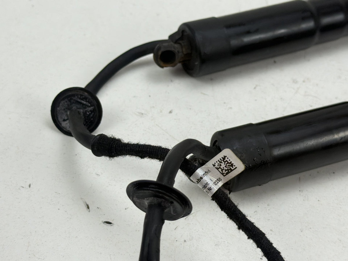 2013-2018 Ford C-Max - Tailgate Lift Support Struts OEM