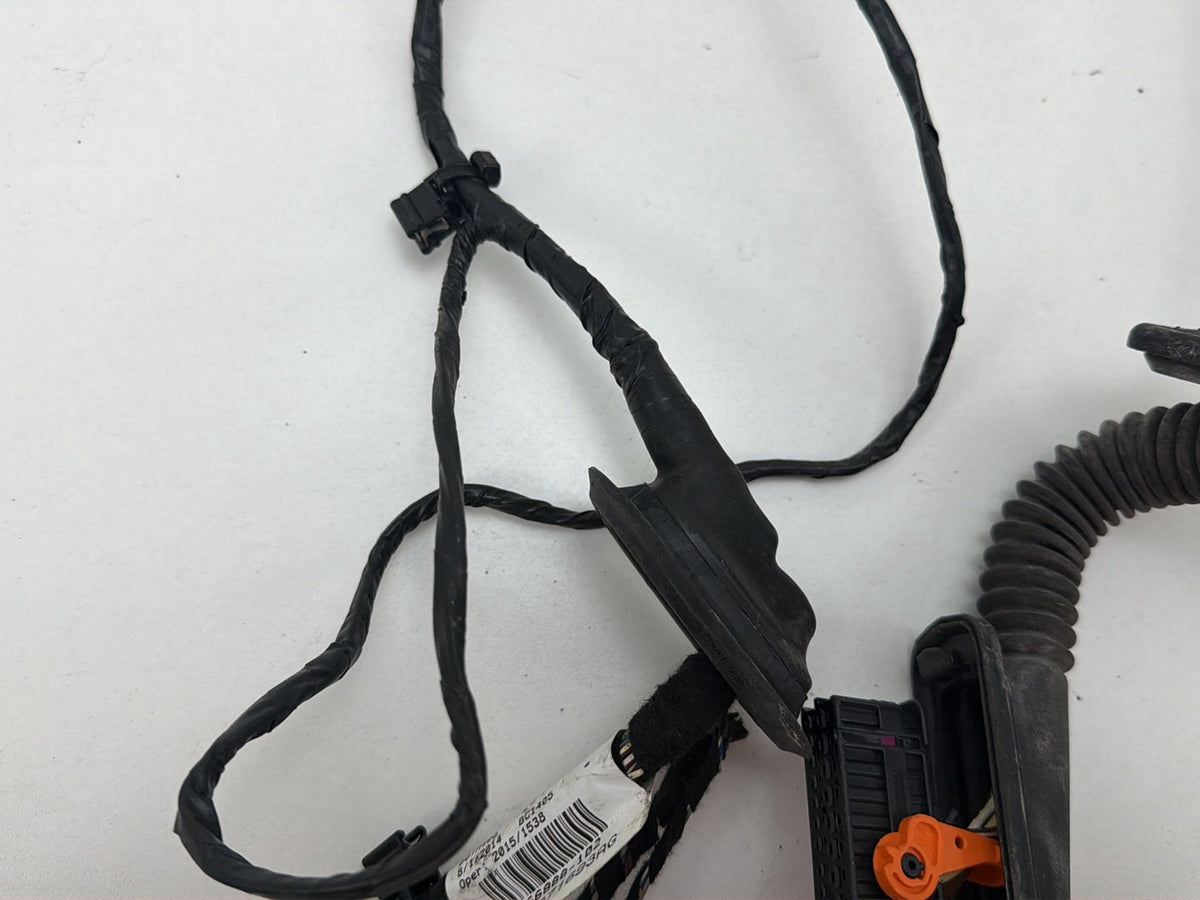 2013-2017 Volkswagen Tiguan Rear Left Side Door Harness Wire Wiring OEM