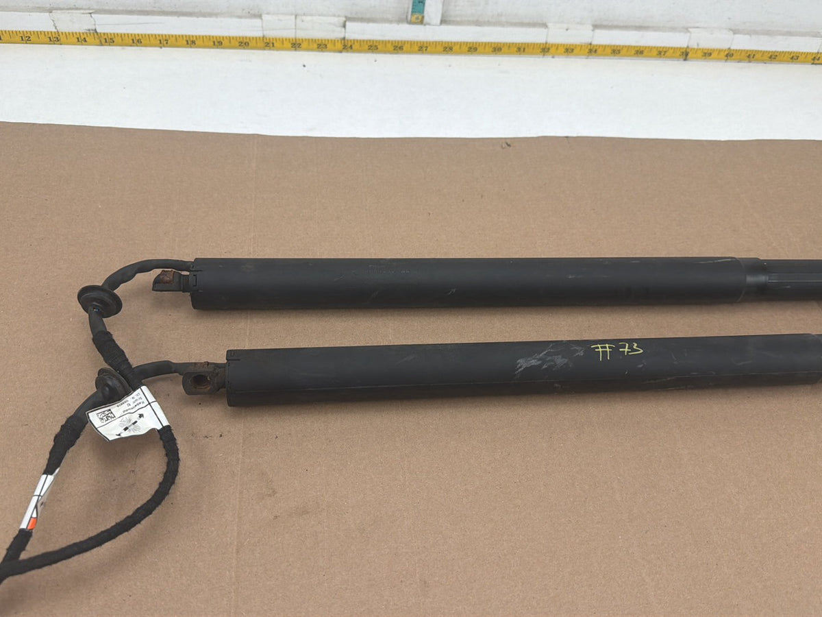 2017-2020 Jaguar F-Pace Trunk Power Liftgate Strut Shock Set HK83-70354-AD OEM