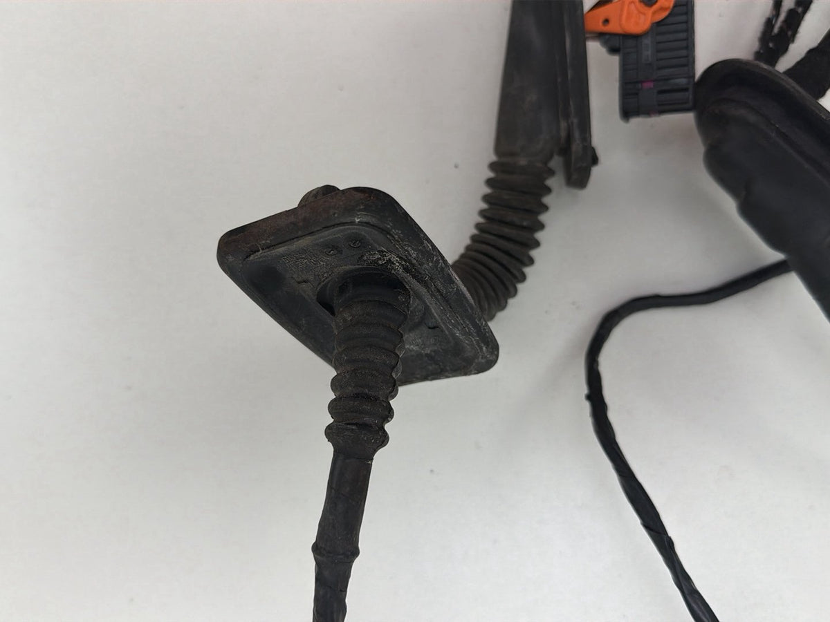 2013-2017 Volkswagen Tiguan Rear Left Side Door Harness Wire Wiring OEM