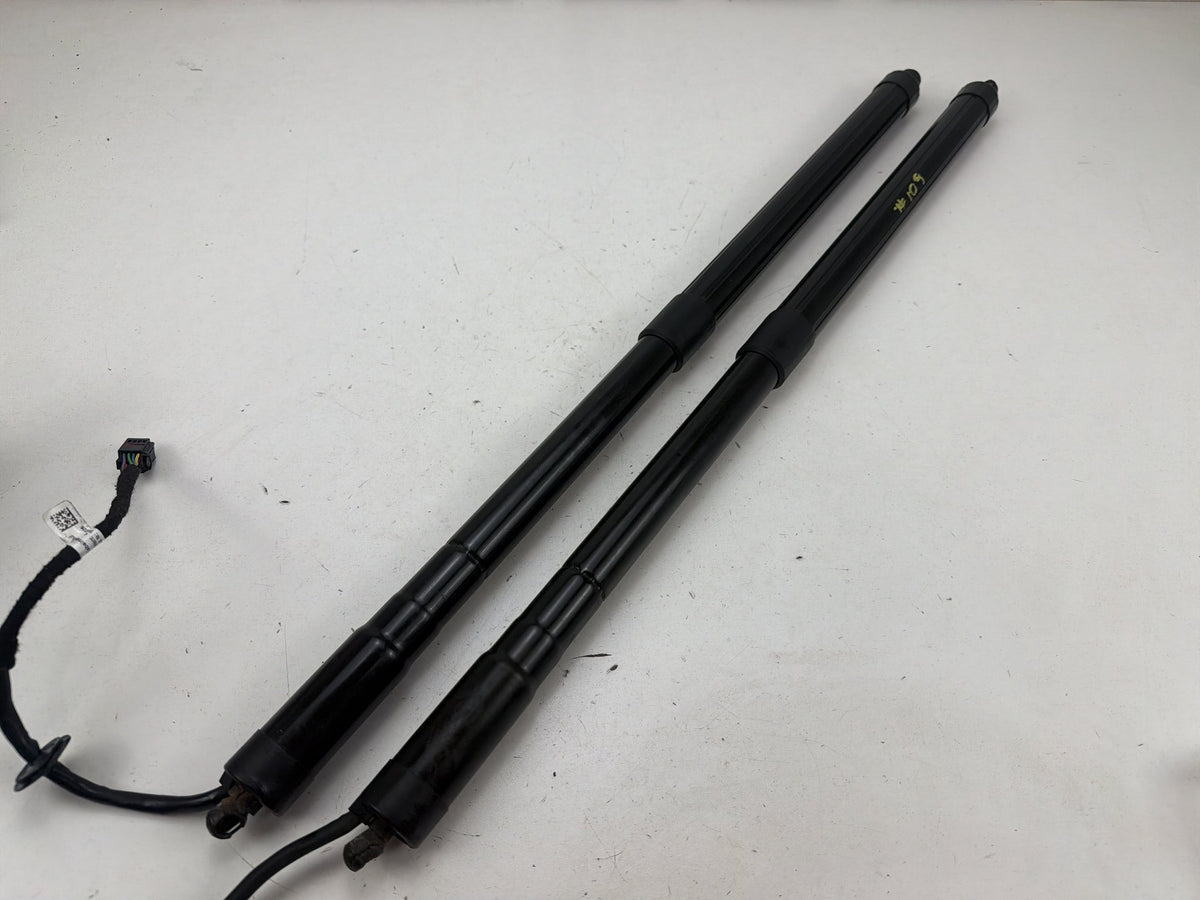 2013-2018 Ford C-Max - Tailgate Lift Support Struts OEM