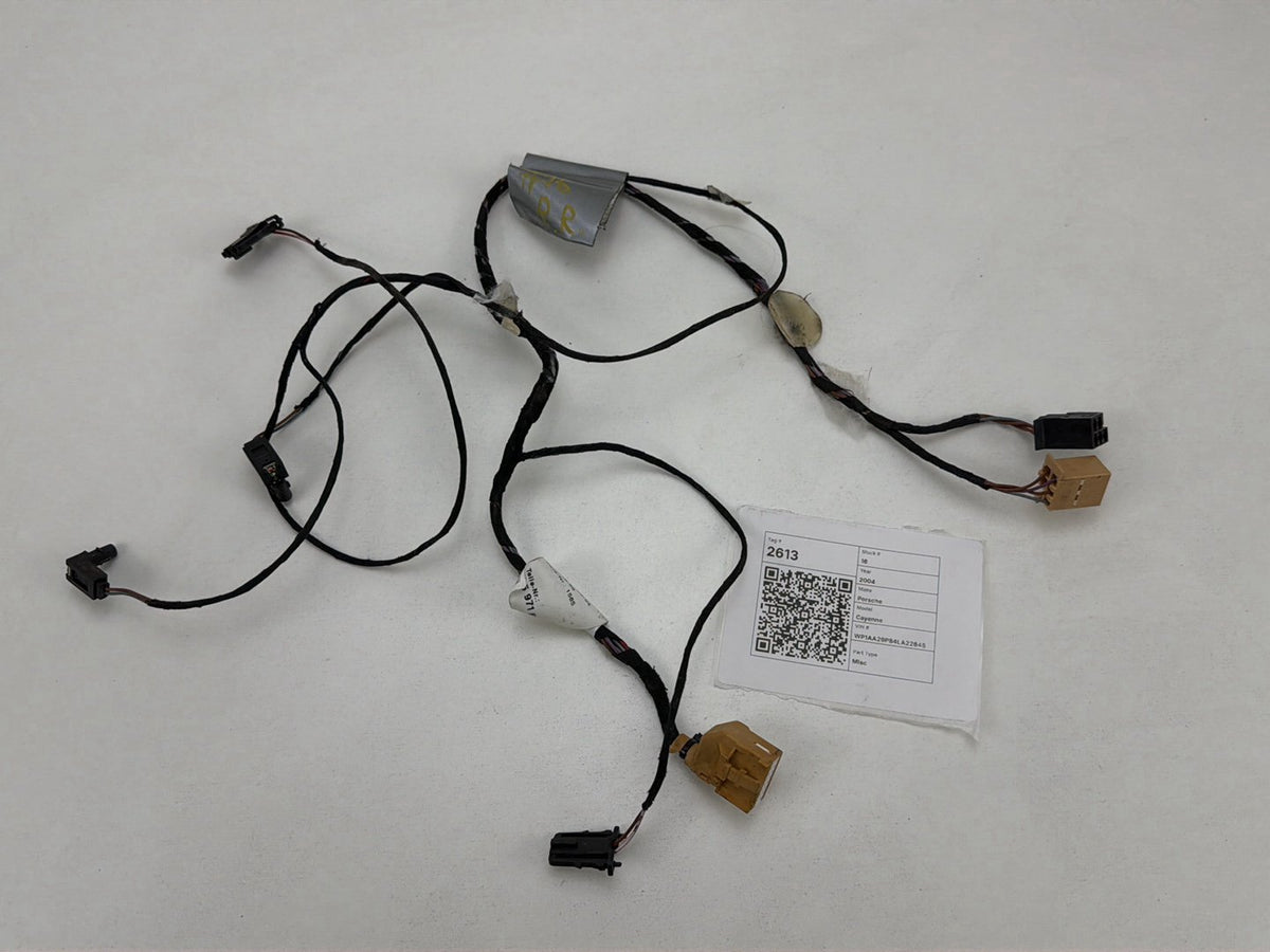 2003-2006 Porsche Cayenne Rear Right Side Door Wiring Harness OEM