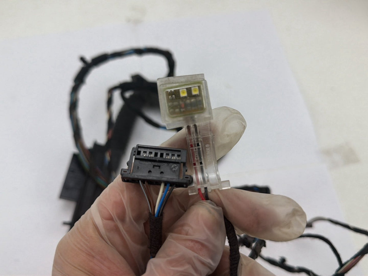 2007-2008 BMW 328xi Rear Left Driver Side Door Wire Harness OEM