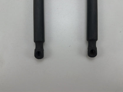 2013-2017 Volkswagen Tiguan Trunk Lid Gas Struts OEM