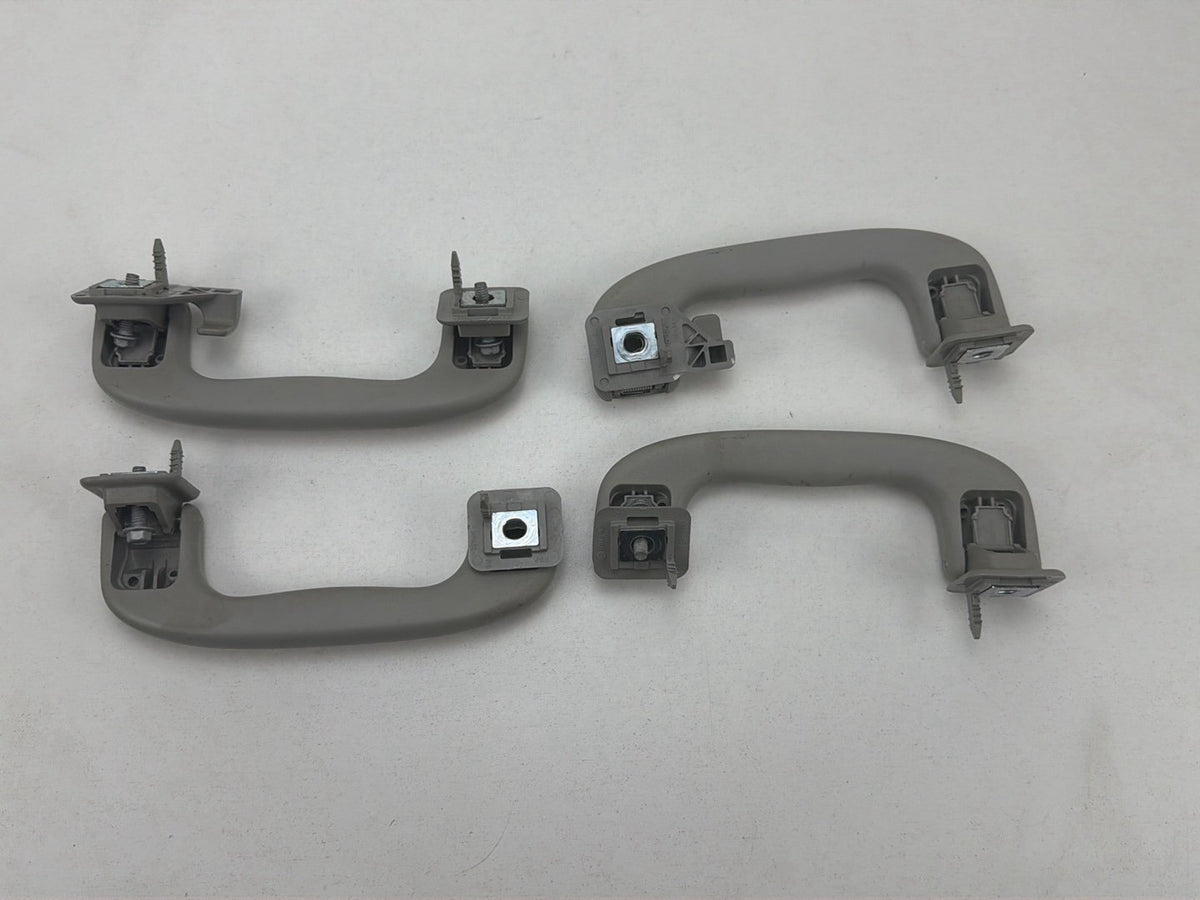 2012-2020 Chevrolet Sonic Roof Rail Assist Grab Handles Set OEM