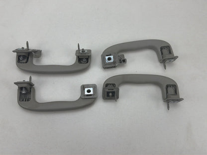 2012-2020 Chevrolet Sonic Roof Rail Assist Grab Handles Set OEM