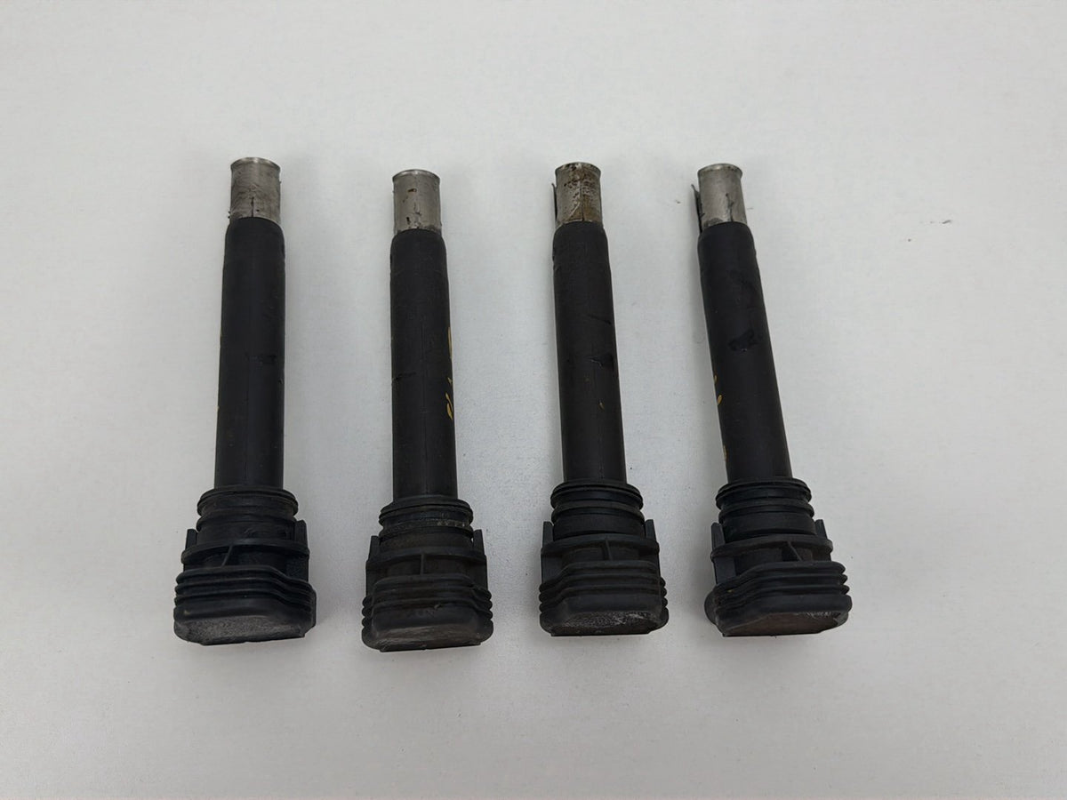 2013-2017 Volkswagen Tiguan Engine Ignition Coil Set OEM
