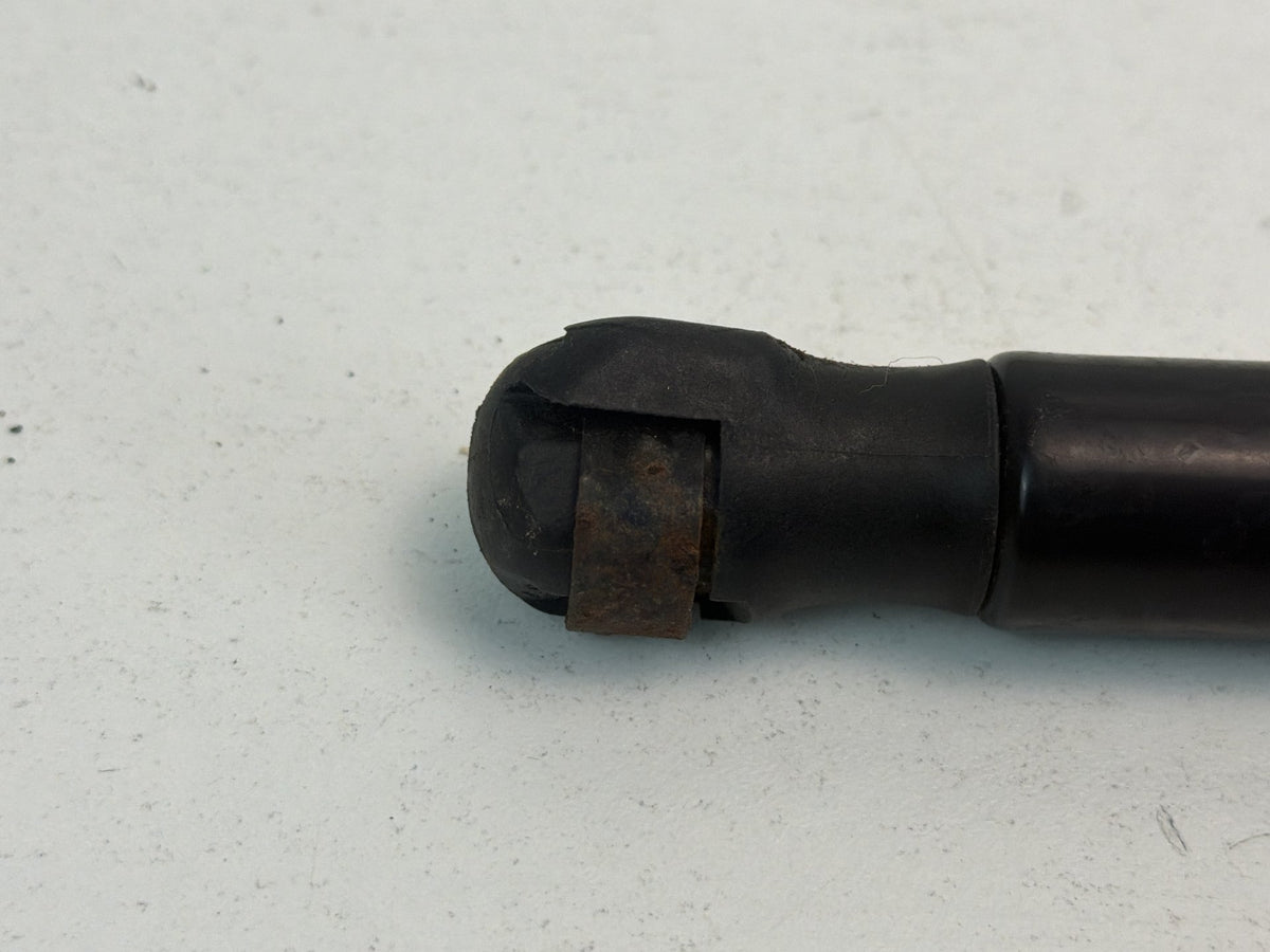 2015-2019 Audi A3 Hood Shock Lift Support 8V0823359 OEM