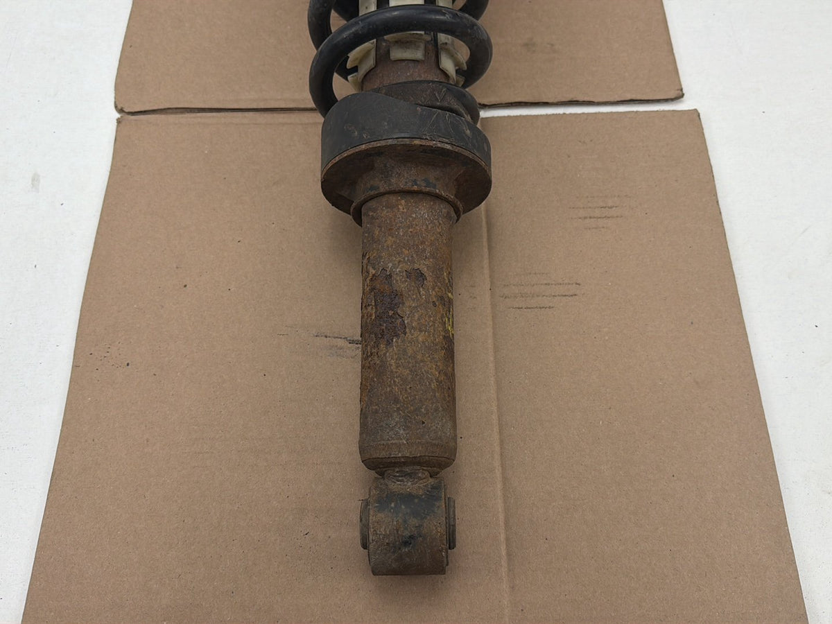 2003-2010 Porsche Cayenne 9PA-Rear LH Shock Absorber w/Coil Spring 7L5513029 OEM