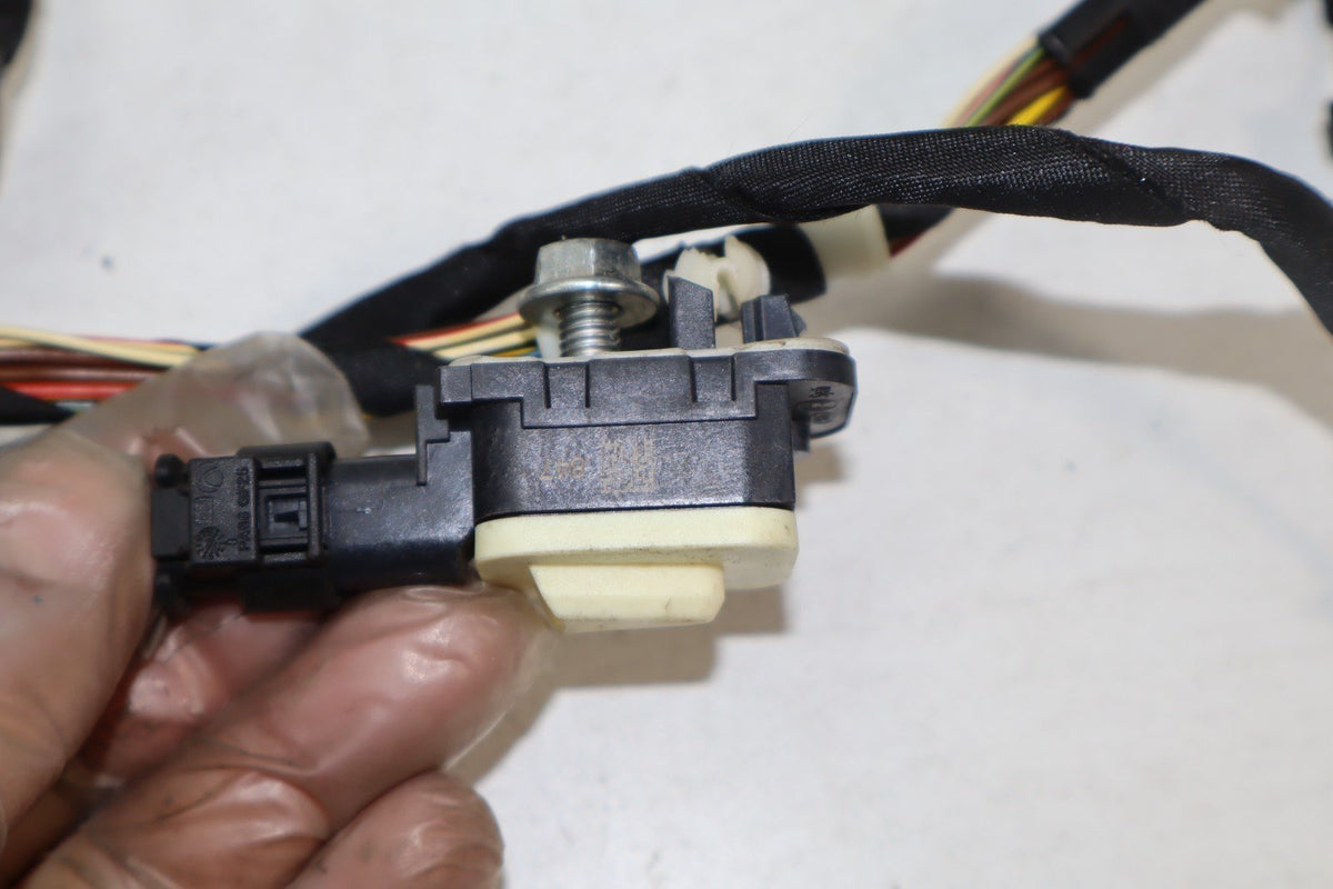 2013-2018 BMW 320I xdrive Front Left Side Door Wiring Harness 9313601 OEM