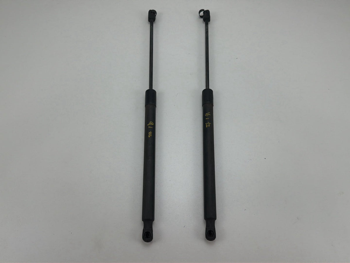 2013-2017 Volkswagen Tiguan Trunk Lid Gas Struts OEM