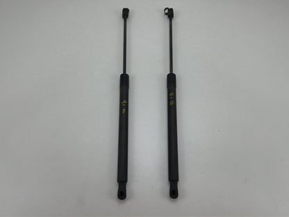 2013-2017 Volkswagen Tiguan Trunk Lid Gas Struts OEM