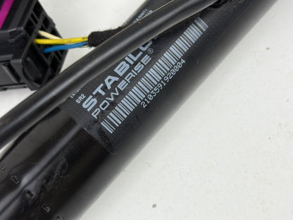 2012-2018 Audi A7 4G Rear Left & Right Tailgate Power Lift Struts Pair OEM