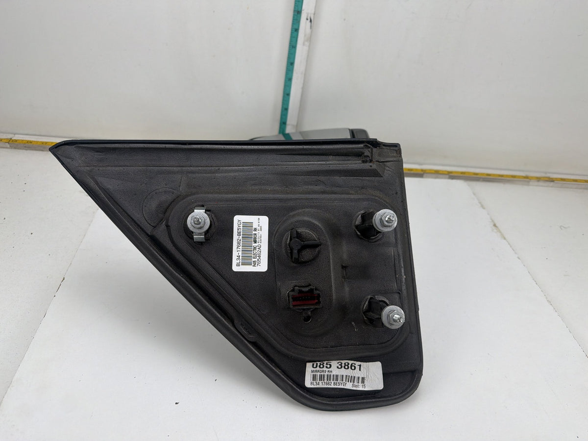 2009-2014 Ford F-150 Front Right Passenger Side Door Mirror BL34-17682BE5YGY OEM