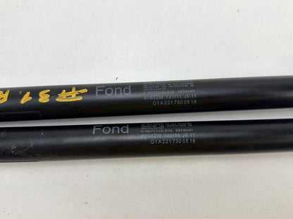 2007-2013 Mercedes-Benz S-Class 550 W221 Trunk Lid Gas Struts OEM