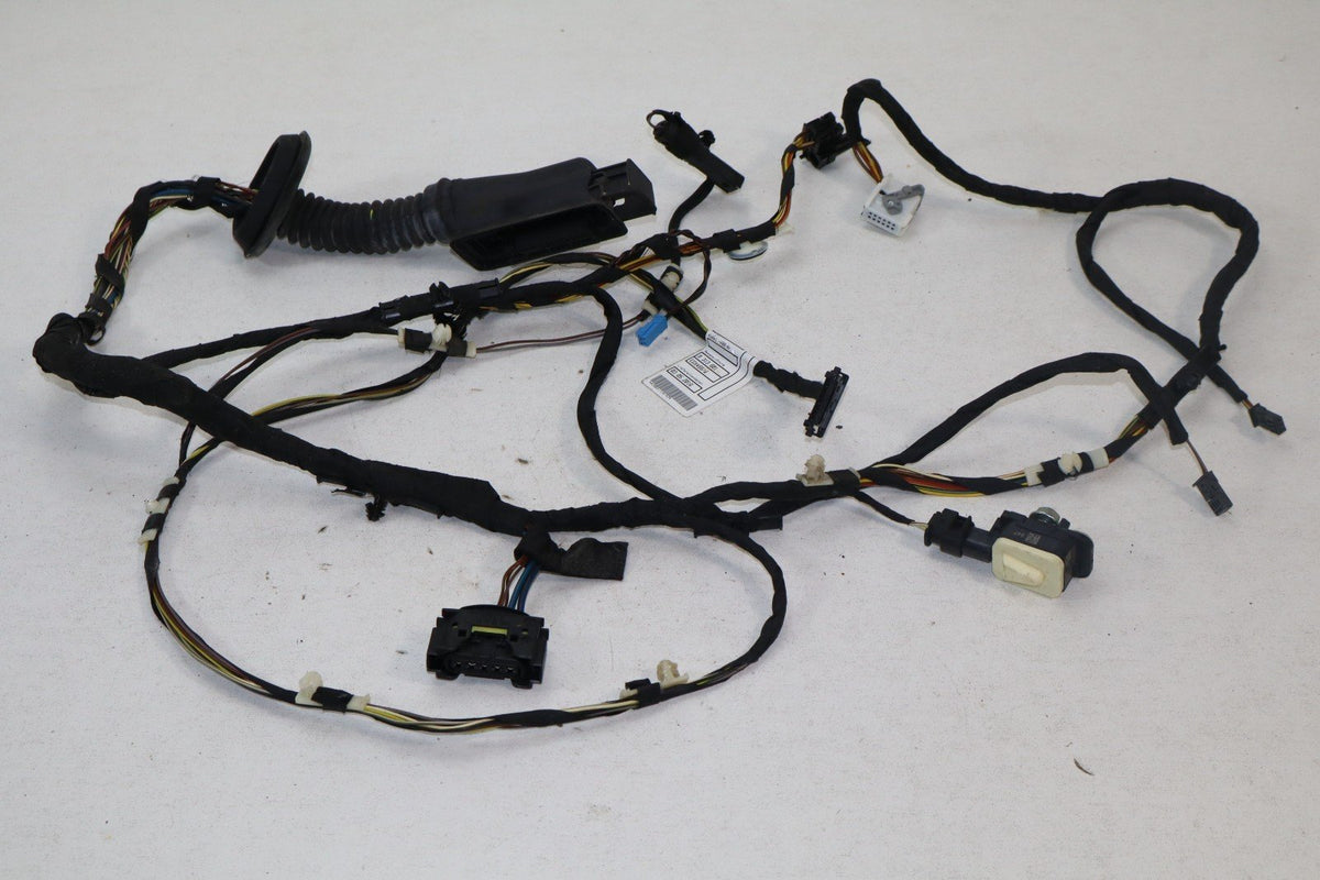 2013-2018 BMW 320I xdrive Front Left Side Door Wiring Harness 9313601 OEM