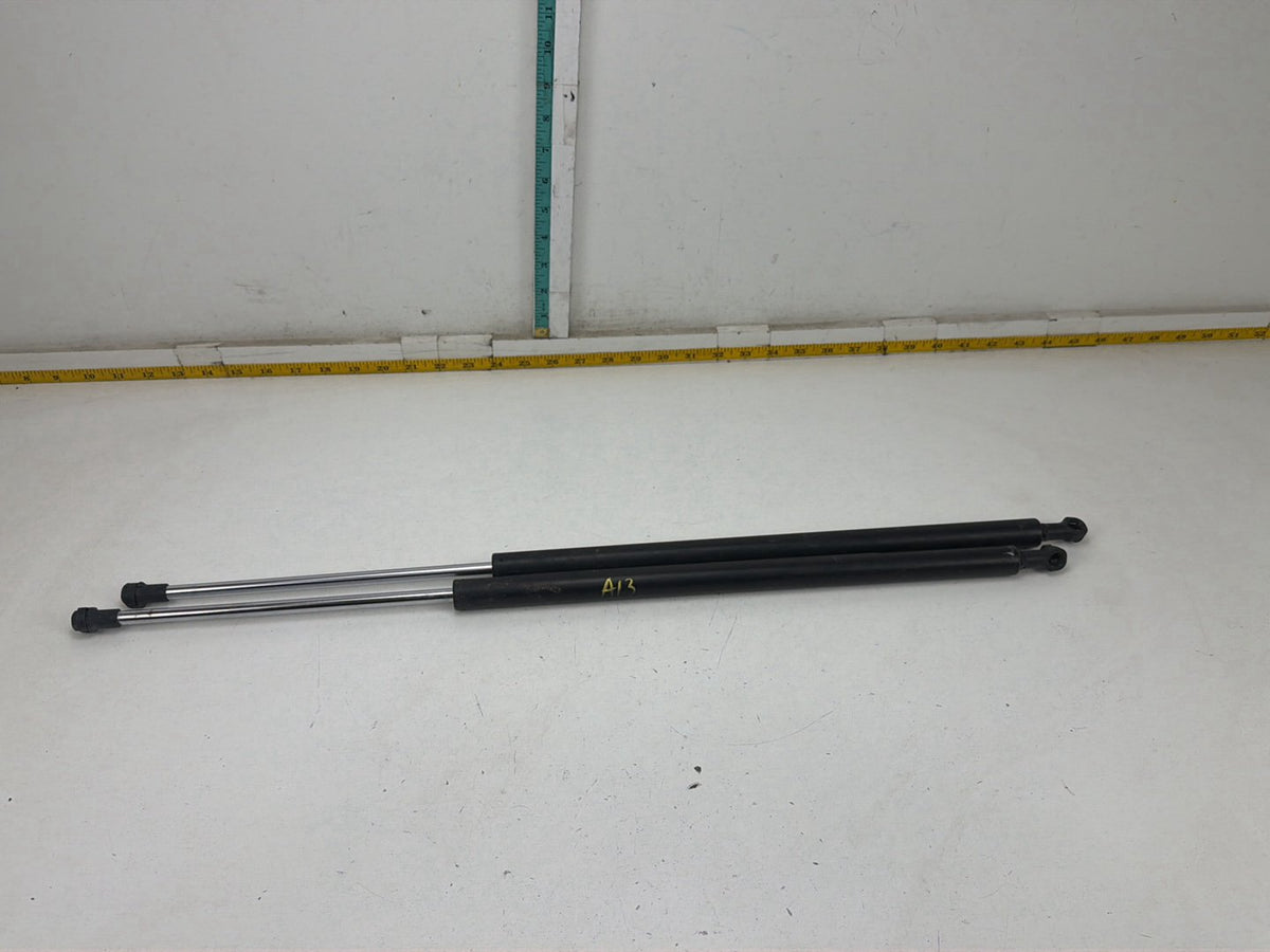 2014-2017 Honda Odyssey E-XL Rear Tailgate Gas Spring Strut Supports Pair OEM