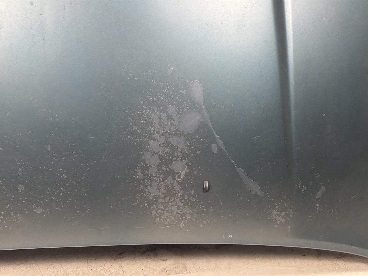 2003-2009 Toyota 4Runner Front Hood Bonnet Shell Cover Panel OEM