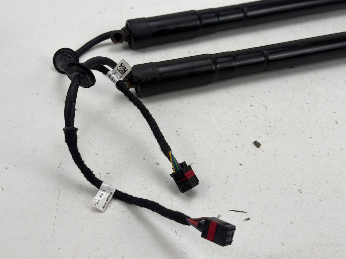 2013-2018 Ford C-Max - Tailgate Lift Support Struts OEM