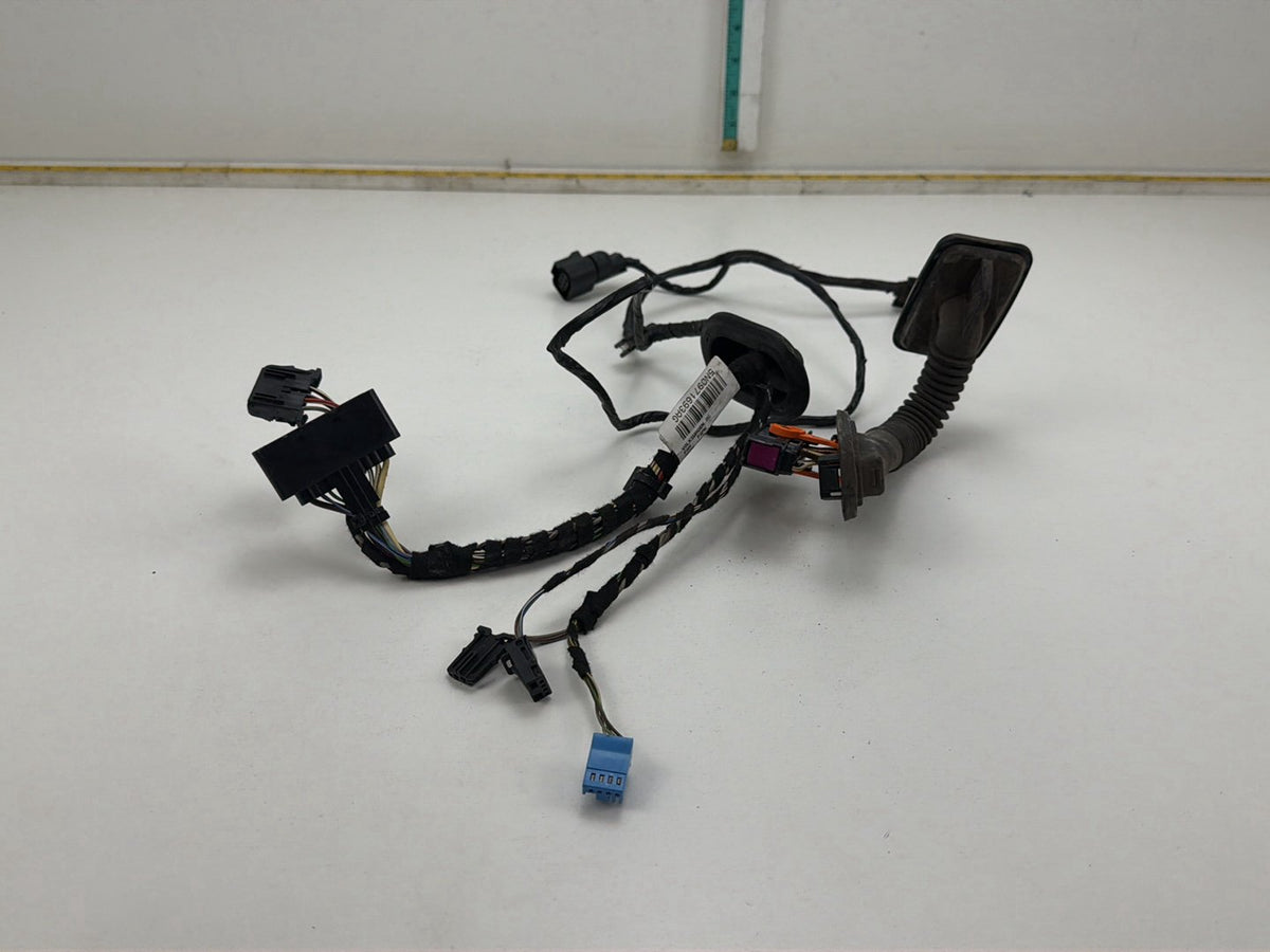 2013-2017 Volkswagen Tiguan Rear Left Side Door Harness Wire Wiring OEM