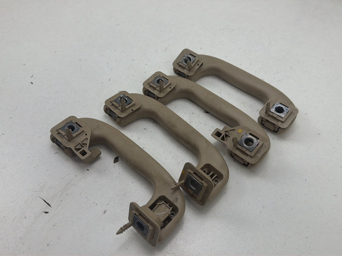 2010-2013 Buick LaCrosse Roof Mounted Grip Grab Handles Set of 4 OEM