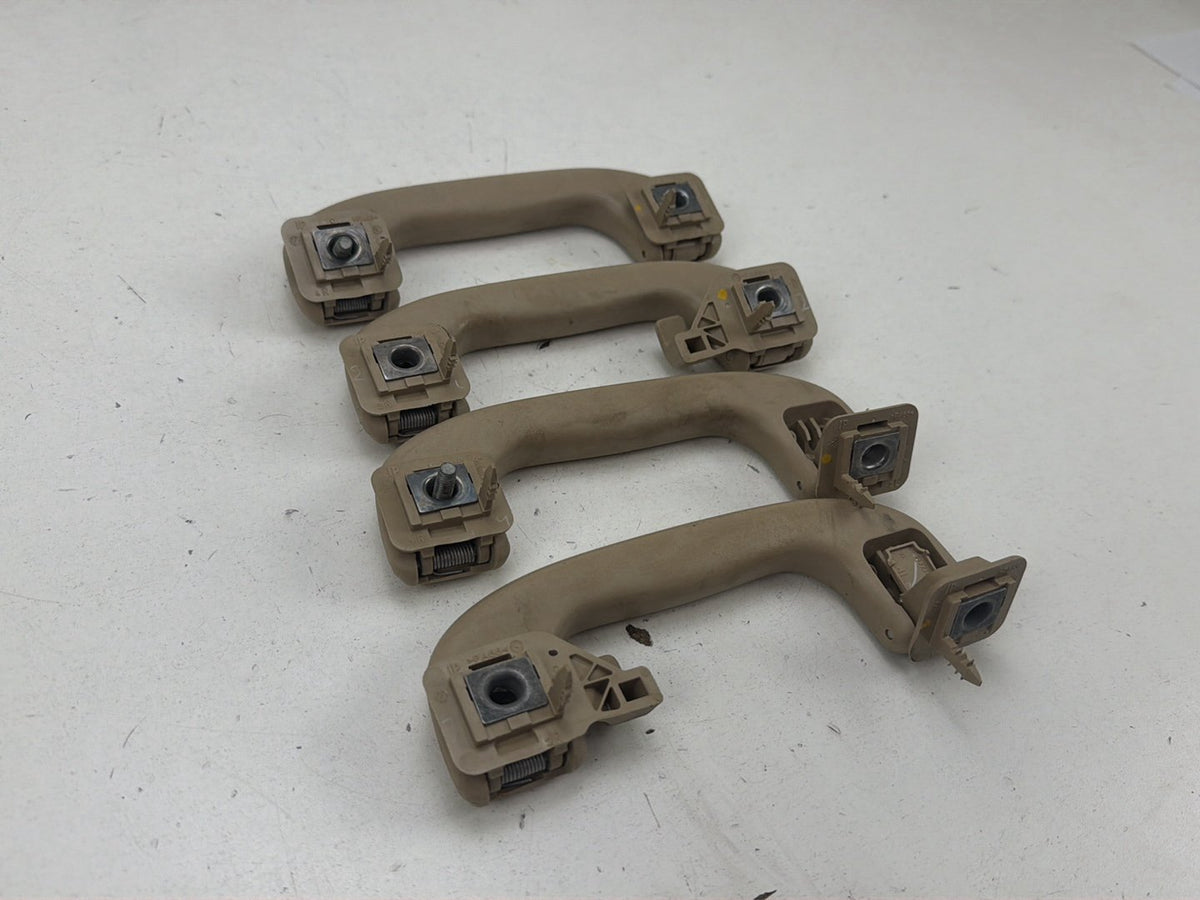 2010-2013 Buick LaCrosse Roof Mounted Grip Grab Handles Set of 4 OEM