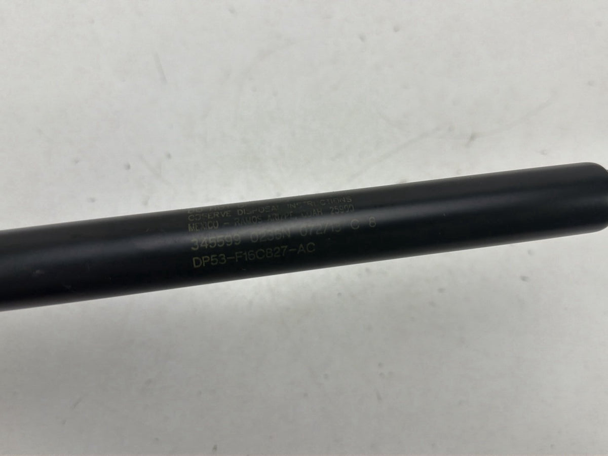 2013-2020 Lincoln MKZ Front Hood Lift Support Gas Strut Shock Damper OEM