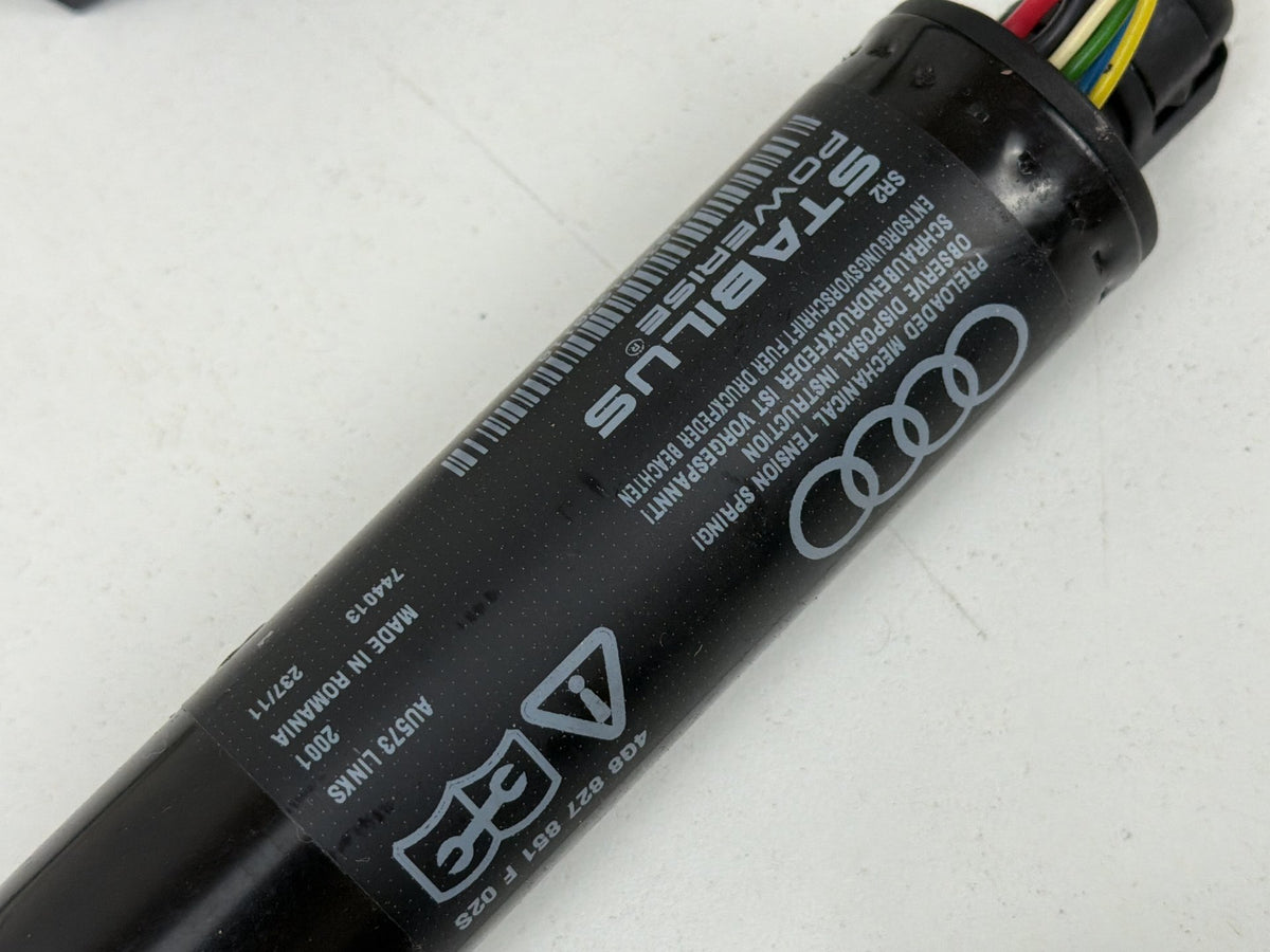 2012-2018 Audi A7 4G Rear Left & Right Tailgate Power Lift Struts Pair OEM