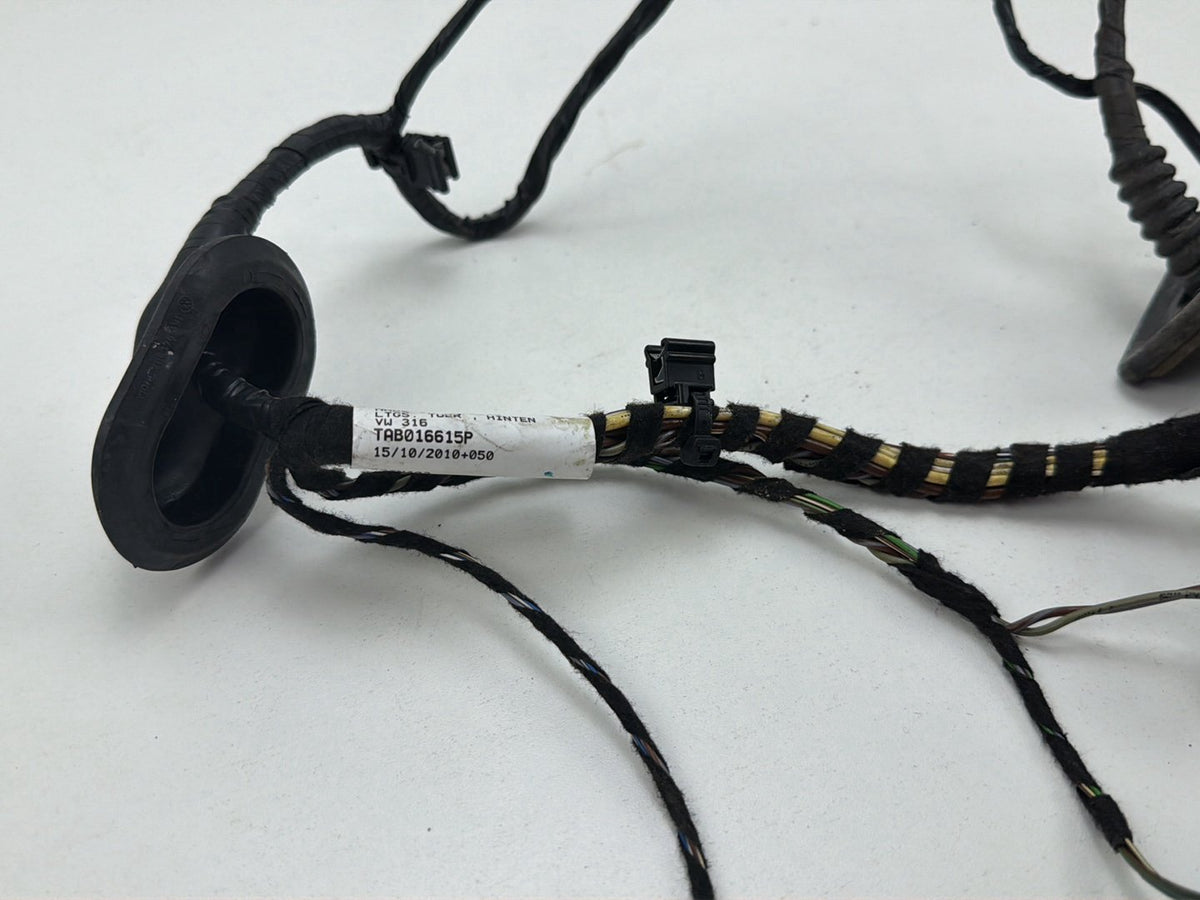 2013-2017 Volkswagen Tiguan Rear Right Side Door Harness Wire Wiring OEM