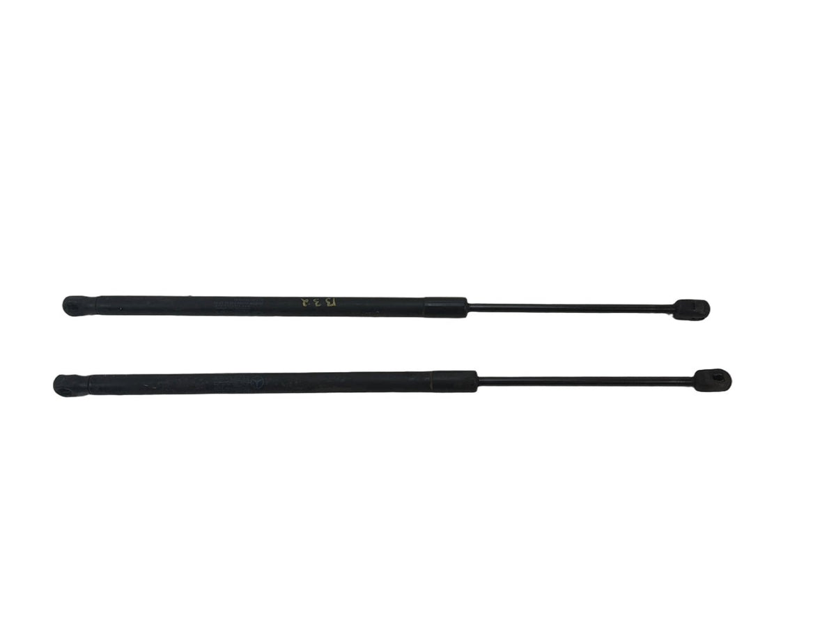 2010-2017 Mercedes-Benz E-Class Front Hood Shock Strut Lift Support Set of 2 OEM