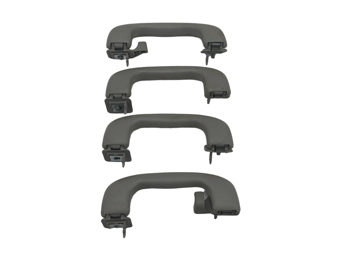 2012-2020 Chevrolet Sonic Roof Rail Assist Grab Handles Set OEM