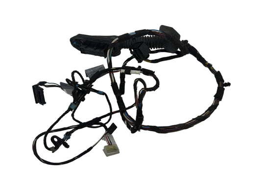 2007-2008 BMW 328xi Rear Left Driver Side Door Wire Harness OEM