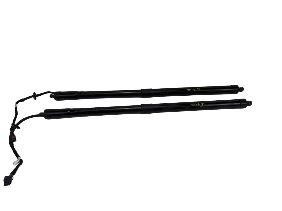 2013-2018 Ford C-Max - Tailgate Lift Support Struts OEM