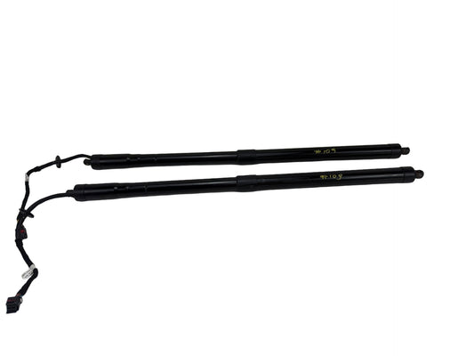 2013-2018 Ford C-Max - Tailgate Lift Support Struts OEM
