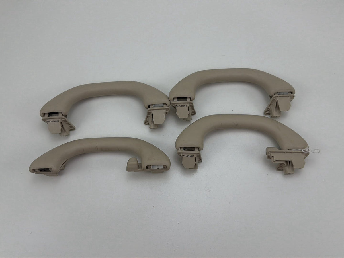 2013-2017 Volkswagen Tiguan Interior Roof Pull Grab Handle Set 1K0857607N OEM