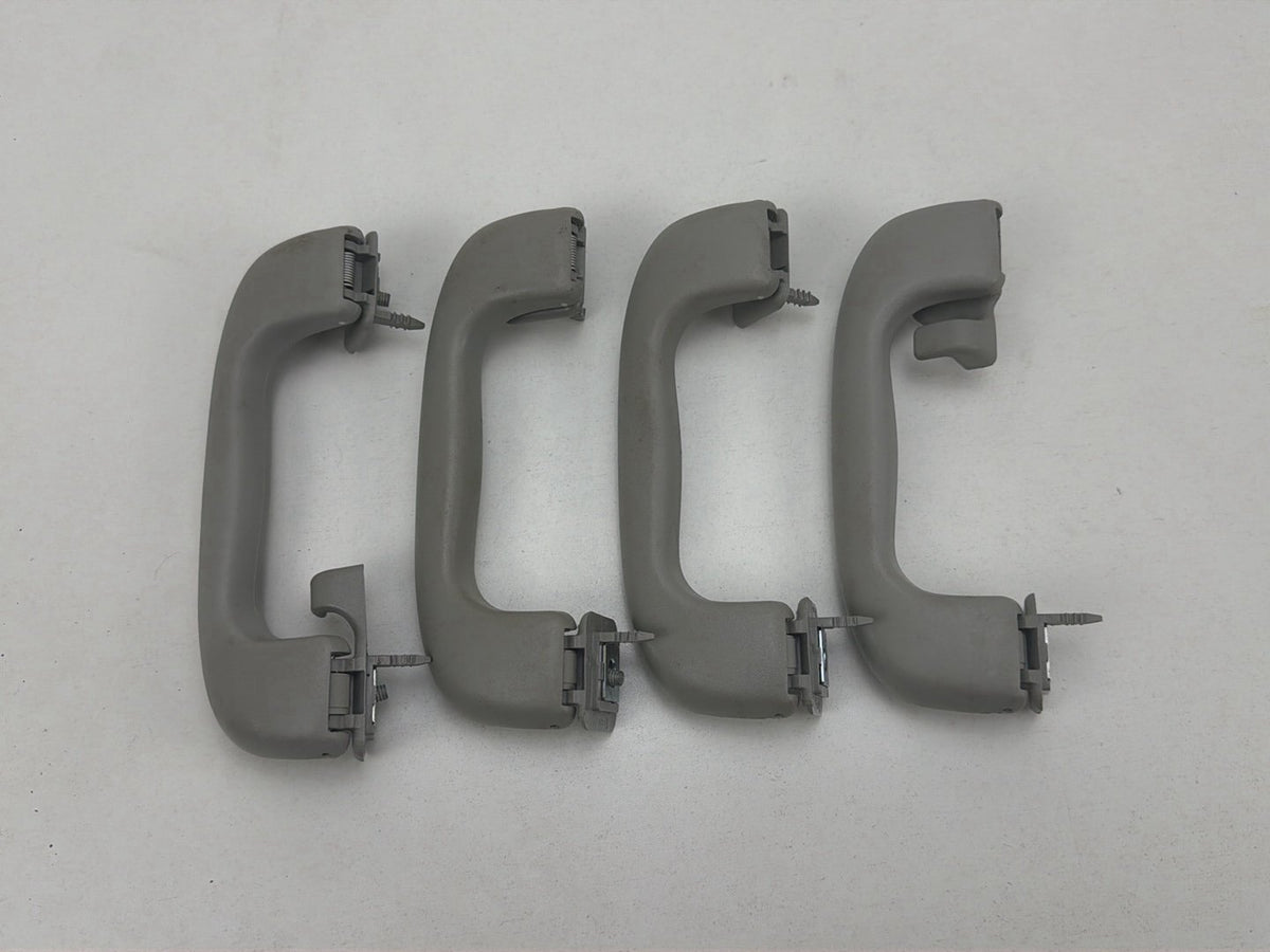 2012-2020 Chevrolet Sonic Roof Rail Assist Grab Handles Set OEM