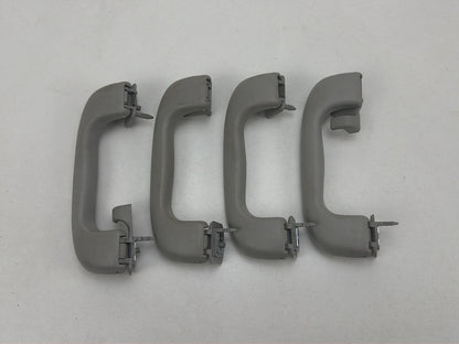 2012-2020 Chevrolet Sonic Roof Rail Assist Grab Handles Set OEM